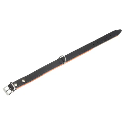 Karlie Halsband Rodeo schwarz/cognac Karlie Halsband Rodeo schwarz/cognac