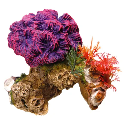 Nobby Aquariendekoration Korallenstein Nobby Aquariendekoration Korallenstein