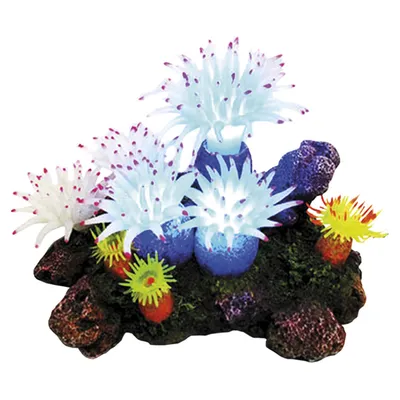 Nobby Aquariendekoration Aplysina mit Pflanzen mit LED Nobby Aquariendekoration Aplysina mit Pflanzen mit LED