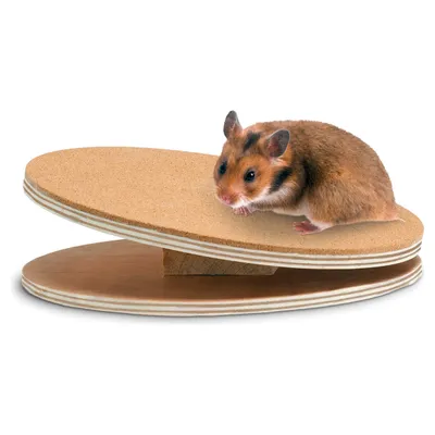 Karlie Bogie Disc Holz-Laufscheibe Karlie Bogie Disc Holz-Laufscheibe