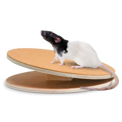 Karlie Bogie Disc Holz-Laufscheibe