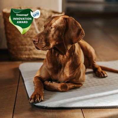 Manuly Set | Hunde Isomatte mit Cooling  Aqua (Grau) Bezug