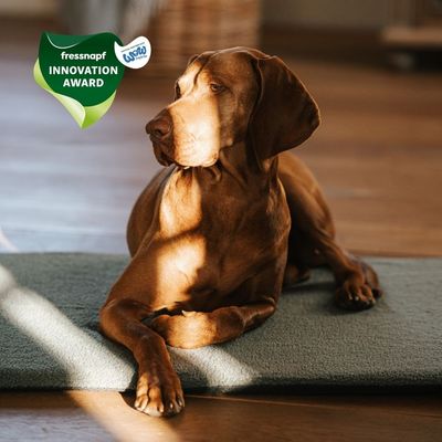 Manuly Set | Hunde Isomatte mit Teddy (olivgrün) Bezug
