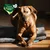 Manuly Set | Hunde Isomatte mit Langhaar (anthrazit) Bezug Manuly Set | Hunde Isomatte mit Langhaar (anthrazit) Bezug