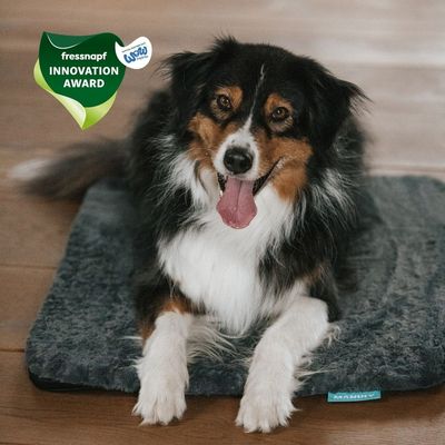Manuly Set | Hunde Isomatte mit Langhaar Aqua Bezug