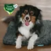 Manuly Set | Hunde Isomatte mit Langhaar Aqua Bezug