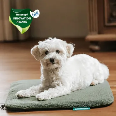 Manuly Set | Hunde Isomatte mit Teddy (olivgrün) Bezug Manuly Set | Hunde Isomatte mit Teddy (olivgrün) Bezug