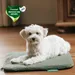 Manuly Set | Hunde Isomatte mit Teddy (olivgrün) Bezug