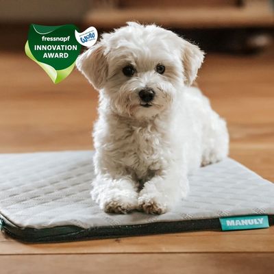 Manuly Set | Hunde Isomatte mit Cooling  Aqua (Grau) Bezug