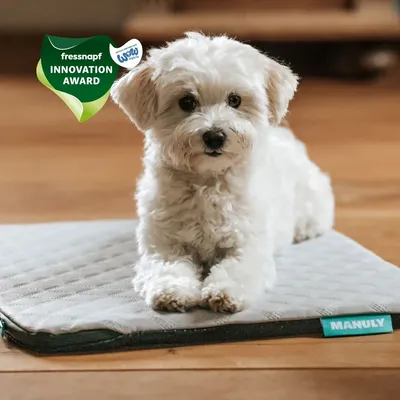 Manuly Set | Hunde Isomatte mit Cooling Aqua (Grau) Bezug Manuly Set | Hunde Isomatte mit Cooling Aqua (Grau) Bezug
