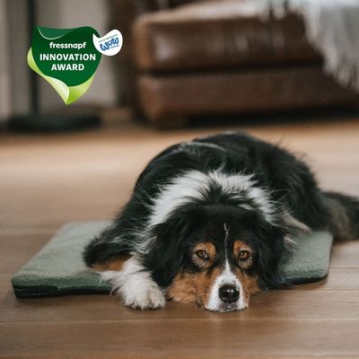 Manuly Set | Hunde Isomatte mit Teddy (olivgrün) Bezug