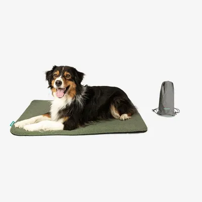 Manuly Set | Hunde Isomatte mit Teddy (olivgrün) Bezug Manuly Set | Hunde Isomatte mit Teddy (olivgrün) Bezug