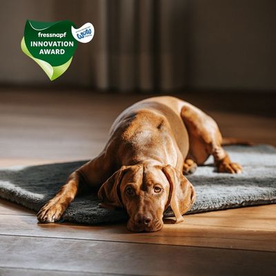 Manuly Set | Hunde Isomatte mit Langhaar Aqua Bezug