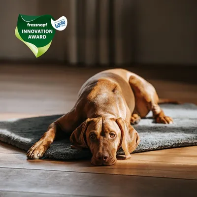 Manuly Set | Hunde Isomatte mit Langhaar Aqua Bezug