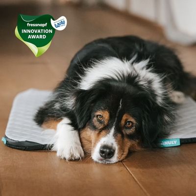 Manuly Set | Hunde Isomatte mit Cooling  Aqua (Grau) Bezug