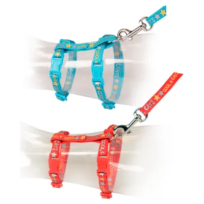Duvo+ Katzen-Spazierset Cool Cats Duvo+ Katzen-Spazierset Cool Cats