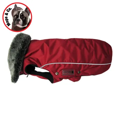 Wolters Winterjacke Amundsen für Mops & Co. rot Wolters Winterjacke Amundsen für Mops & Co. rot