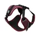 Duvo+ EXPLOR Ultimate Fit No-Pull Geschirr Fashion plum purple