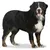 Duvo+ Schutzhose