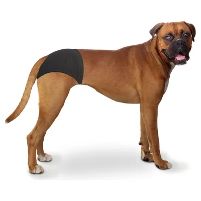 Duvo+ Schutzhose