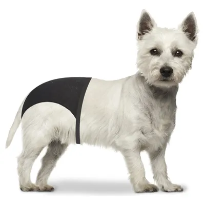 Duvo+ Schutzhose