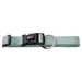 Wolters Halsband Professional salbei grün