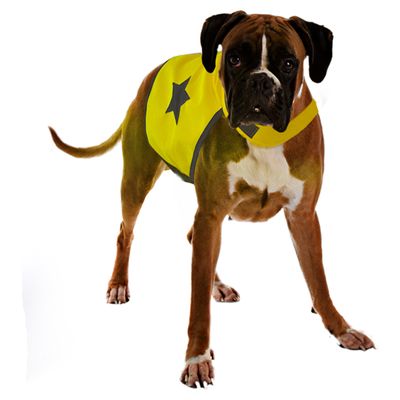Duvo+ Warnweste Fluo neongelb