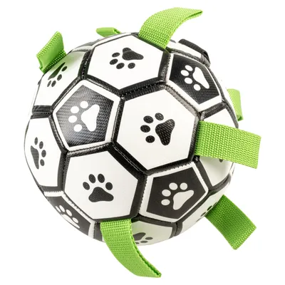 Duvo+ Hundespielzeug Interaktiver Fußball Duvo+ Hundespielzeug Interaktiver Fußball