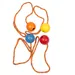 Duvo+ Dental Ball mit Noppen und Seil, Gummi