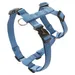 Wolters Geschirr Professional für Mops & Co. riverside blue