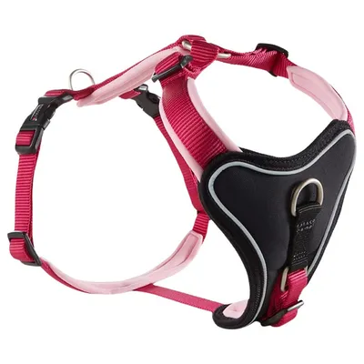 Wolters Geschirr Professional Comfort himbeer/rosé Wolters Geschirr Professional Comfort himbeer/rosé