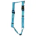 Wolters Geschirr Sunset aqua