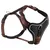 Wolters Geschirr Professional Comfort tabac/schwarz Wolters Geschirr Professional Comfort tabac/schwarz