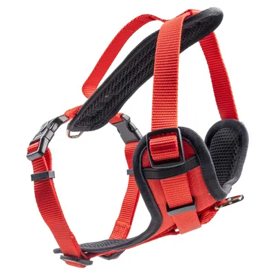 Duvo+ Geschirr Y Classic rot Duvo+ Geschirr Y Classic rot
