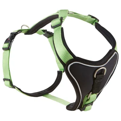 Wolters Geschirr Professional Comfort kiwi/schwarz Wolters Geschirr Professional Comfort kiwi/schwarz