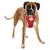 Duvo+ Geschirr mit Leine Flashlight rot Duvo+ Geschirr mit Leine Flashlight rot