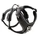 Wolters Geschirr Active Pro No Escape schwarz/silber