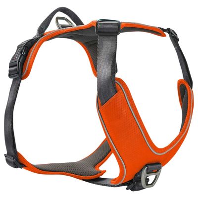 Wolters Geschirr Active Pro Comfort rot-orange/anthrazit