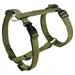 Wolters Geschirr Professional olive
