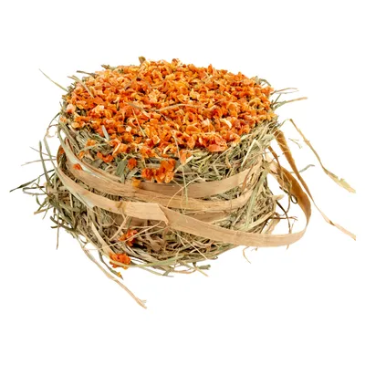 Duvo+ Heu-Burger mit Karotten-Topping 75 g Duvo+ Heu-Burger mit Karotten-Topping 75 g