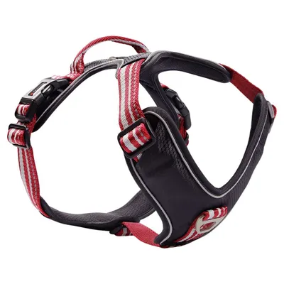 Wolters Geschirr Active Pro rot/schwarz Wolters Geschirr Active Pro rot/schwarz