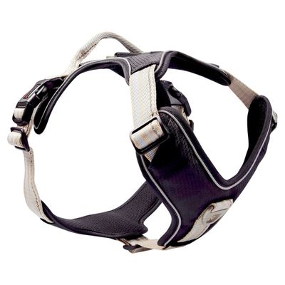 Wolters Geschirr Active Pro champagner/schwarz