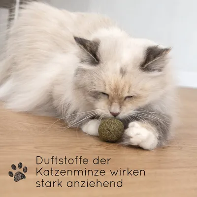 KaraLuna Katzenminze Bälle 3 Stk.