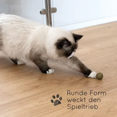 KaraLuna Katzenminze Bälle 3 Stk. KaraLuna Katzenminze Bälle 3 Stk.
