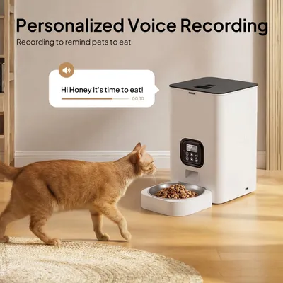 Zatte Distributeur Croquettes Auto 6L, Minuterie Chat & Chien