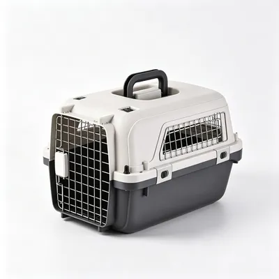 Zatte Caisse de transport chien avec roues et poignée - 56 × 40 × 36 cm Zatte Caisse de transport chien avec roues et poignée - 56 × 40 × 36 cm