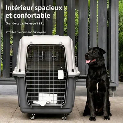 Zatte Caisse de transport chien avec roues et poignée - 56 × 40 × 36 cm Zatte Caisse de transport chien avec roues et poignée - 56 × 40 × 36 cm