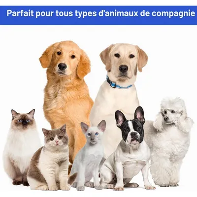 Zatte Fellpflege-Staubsauger für Hund & Katze, 13 000 Pa, 5 Kämme Zatte Fellpflege-Staubsauger für Hund & Katze, 13 000 Pa, 5 Kämme