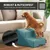 Rohrschneider Hundetreppe mit 2 Stufen