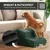 Rohrschneider Hundetreppe mit 2 Stufen